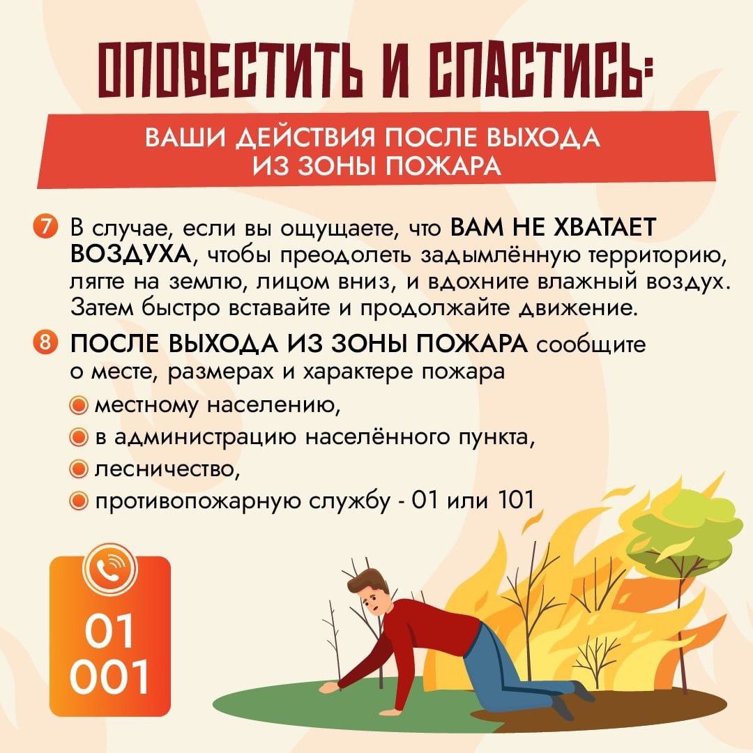 5267306484490957901.jpg